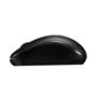 Souris sans-fil Rapoo 00180244 Noir 1000 dpi