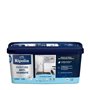 RIPOLIN PEINTURE ANTI-HUMIDITE 2,5L
