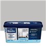 RIPOLIN PEINTURE ANTI-HUMIDITE 2,5L