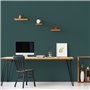 RIPOLIN Peinture Couleur Velours pour Murs, Boiseries Radiateurs - Vert Armerie