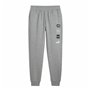 Pantalon de Survêtement pour Adultes Puma Power Graphic Sweatpants Gris Homme