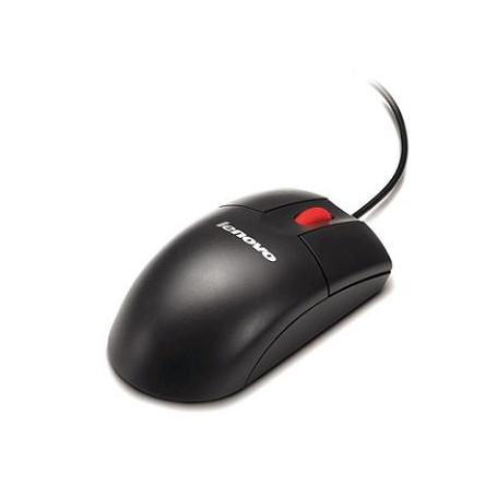 Lenovo 7M57A04698 souris Bureau Ambidextre USB Type-A Optique 400 DPI