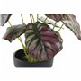 Plante décorative DKD Home Decor Rose Vert PE (10 x 10 x 27 cm)