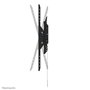 Support de TV Neomounts WL35-750BL18 43"
