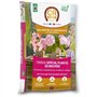 Terreau spécial plantes de bruyere - OR BRUN - OBRTBRU6U - 6L - Meilleur enracinement