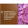 Terreau spécial plantes de bruyere - OR BRUN - OBRTBRU6U - 6L - Meilleur enracinement