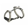 Harnais pour Chien Trixie Gris clair S/M