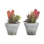 Plante décorative DKD Home Decor Rouge Gris Orange EVA PE (16 x 12,5 x 19,5 cm) (2 Unités)
