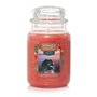 Bougie Parfumée Yankee Candle Cliffside Sunrise 623 g