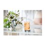 Bougie Parfumée Yankee Candle Mango Ice Cream 567 g