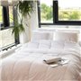 Couette spéciale câline - Tempérée - 140 x 200 cm - 250 g/m² - Blanc