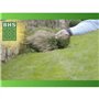 Gazon - BHS -  Gazon Regarnissage 5kg