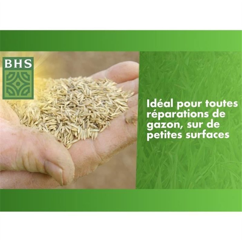 Image secondaire de Gazon Réparation Top Dress' - BHS - 500g | 20 m² | Semences enrobées pour une meilleure adhérence au sol.