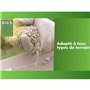 Gazon Regarnissage Terrain Sec - BHS - 1kg | 40 m² | Résistant et durable, avec excellente pérennité et tolérance aux piétinemen