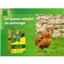 Gazon - BHS - Espace Nature 1kg | 40m² | Riche en protéines, rapide, homogene | Bien-etre des animaux en extérieur.