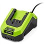 Chargeur - FIELDMANN - Pour batterie 20V - Charge 2Ah en 60 min - Compatible 2Ah, 4Ah
