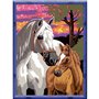 CreArt Kids 18x24cm Chevaux au coucher du soleil, Kit de peinture par numéros Numéro d'Art, Des 9 ans, 25809, Ravensburger