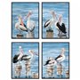 Cadre DKD Home Decor Oiseau méditerranéen (53 x 3,5 x 73 cm) (4 Unités)