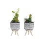 Plante décorative DKD Home Decor Céramique Noir Polyéthylène Blanc Vert (7 x 7 x 19 cm) (2 Unités)
