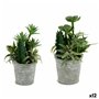 Plante décorative Ibergarden XD18-1182A-B Plastique Ciment 15 x 24 x 15 cm (12 Unités)