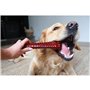 Os Nylabone Marron Bacon XL