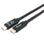 Câble USB-C vers USB-C Equip 12834707101 Noir 2 m