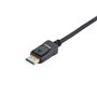 Câble DisplayPort Equip 119273 3 m Noir