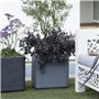 Pot de fleur Cube - DEROMA - Cosmo -  Ashgrey - A réserve d'eau - Roulettes - 38 cm