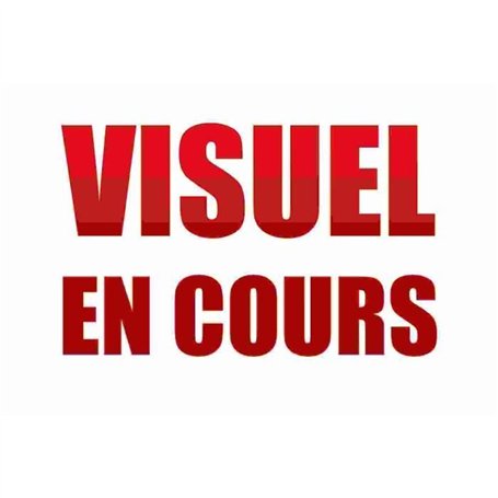 Washimals - Mes animaux a colorier - CRAYOLA - 4 animaux Pat'Patrouille - Des 3 ans