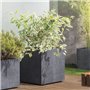 Pot de fleur Cube - DEROMA - Millennium R - Anthracite - A réserve d'eau - Roulettes - 49 cm