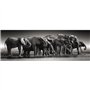 CLEMENTONI - Compact 1000 pieces Panorama - Herd of Giants