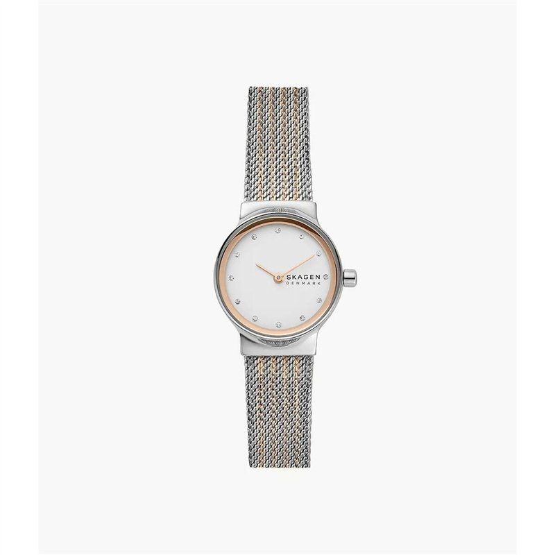 Montre Femme Skagen SKW2699 (Ø 25 mm)