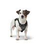 Harnais pour Chien Hunter DIVO UP Noir XS