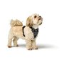 Harnais pour Chien Hunter DIVO UP Noir S/M