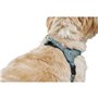 Harnais pour Chien Hunter SOHO MINI Bleu XS