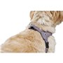 Harnais pour Chien Hunter SOHO MINI Lila