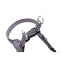 Harnais pour Chien Hunter SOHO MINI Lila XS/S
