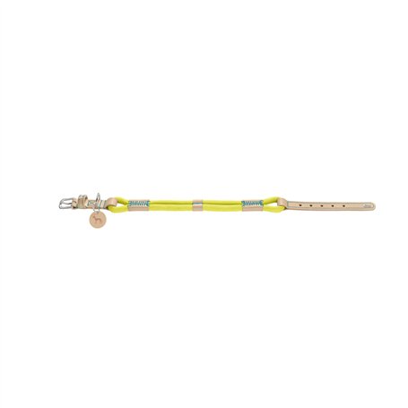 Collier pour Chien Hunter Malia Citron S/M 35-44 cm