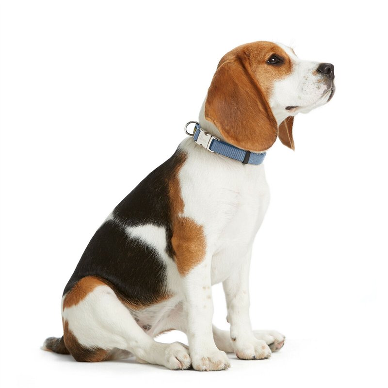 Image secondaire de Collier pour Chien Hunter VARIO BASIC Bleu XL 45-65 cm