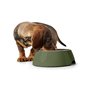 Mangeoire pour chiens Hunter Vert 350 ml