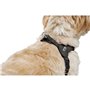 Harnais pour Chien Hunter SOHO MINI Noir XXS/XS