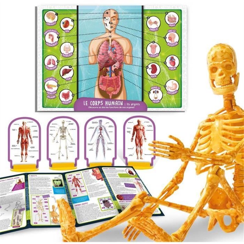 Image secondaire de Découverte du corps humain - Kit Scientifique - I'M A GENIUS POCKET - Modèle 3D