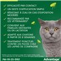 Advantage Chat & Lapin de moins de 4 kg – Pipettes anti puces chat pour prévention des infestations – Traitement anti puces avec