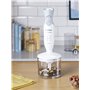 Bosch MSM66020 Mixeur Plongeant 600 W, Gris/Blanc