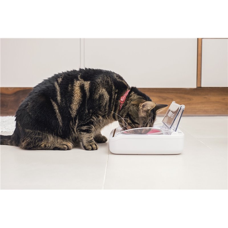Image secondaire de Sure PetCare | Bol hermétique pour Chats et Petits Chiens SureFeed, Couvercle activé par Le Mouvement, pour Aliments humides et 