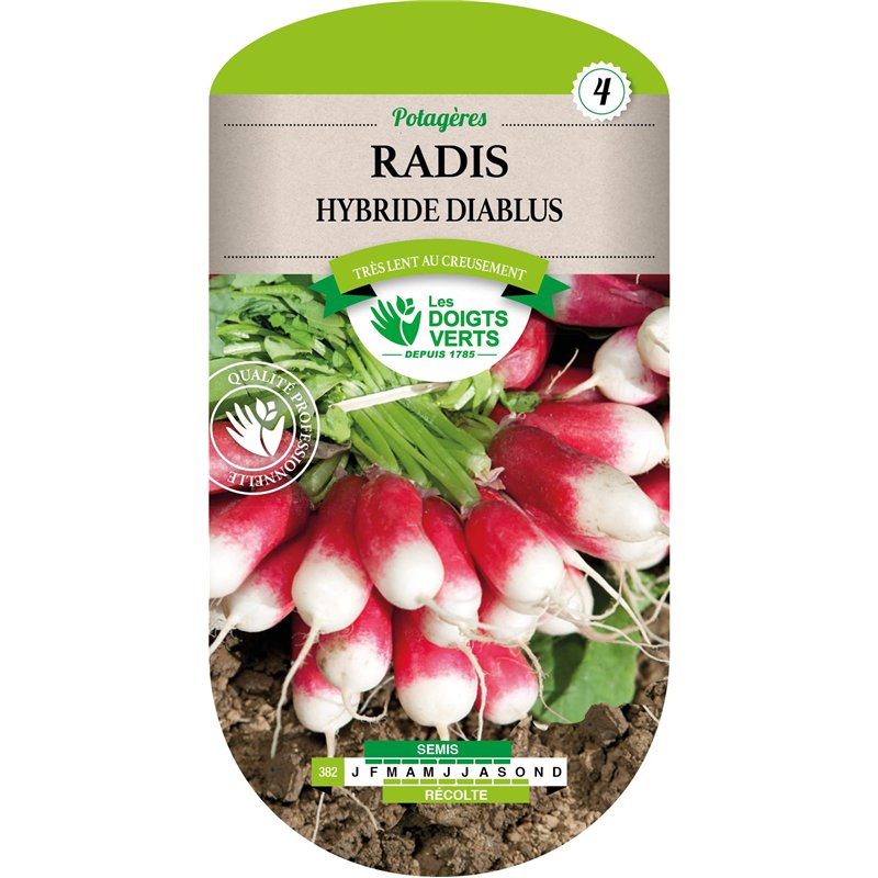 Radis Diablus Hybride F1