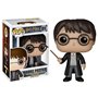 Funko 5858 Pop Vinyl Harry Potter Figure, Multicolor, Small