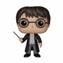Funko 5858 Pop Vinyl Harry Potter Figure, Multicolor, Small