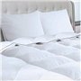 IDMarket - Couette 220x240 CM AELA en Plume d'oie Anti acarien 500 GR + 2 oreillers