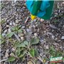 ROUNDUP RPO3 - Désherbant Jardin Polyvalent Prêt à L'emploi 3 L - Premiers effets visibles en 1h - Elimine mauvaises herbes et m